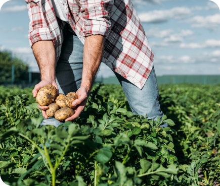 Cubre los cultivos de tus clientes, en caso de ser afectados por catástrofes Cubre los cultivos de tus clientes, en caso de ser afectados por catástrofes